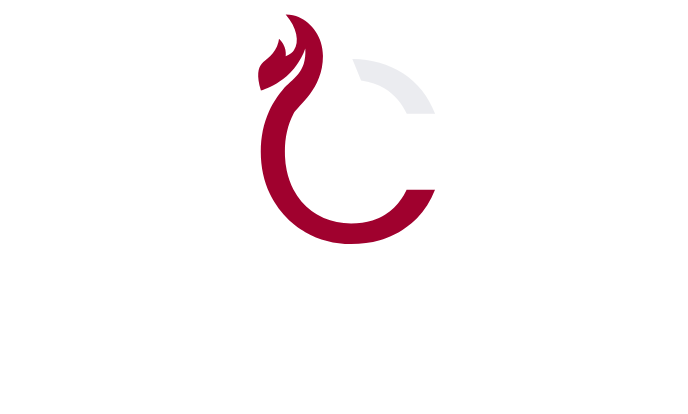 LOGO - FIREWALL AYC (2)